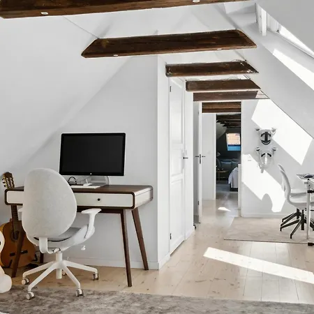 Sanders Swan - Marvellous Close To The Center Of Tatil Evi Kopenhag