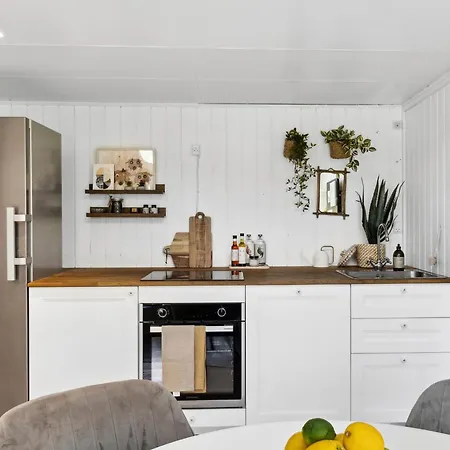 Sanders Swan - Marvellous Close To The Center Of *