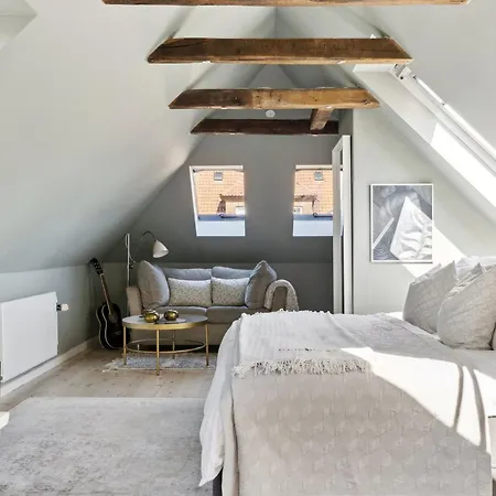 Sanders Swan - Marvellous Close To The Center Of Semesterbostad Köpenhamn